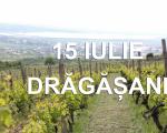 15 iulie | Vizite la crame si picnic in Podgoria Dragasani